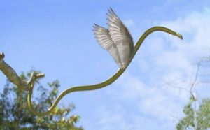 Pourquoi rêver de serpent avec des ailes ?