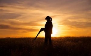 Pourquoi rêver de tuer des oiseaux ?