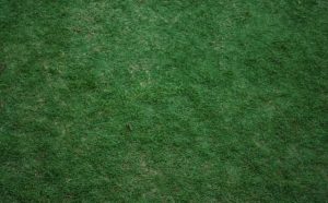 Pourquoi rêver d'herbe coupée ?