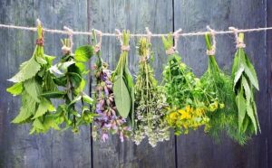 Pourquoi rêver d'herbes aromatiques ?