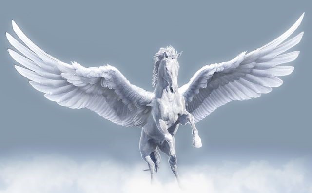 Pourquoi rêver d'un cheval blanc avec des ailes ?