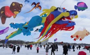 Pourquoi rêver d'un concours de cerf-volant ?