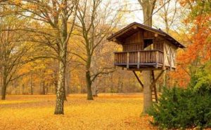 Pourquoi rêver d'une cabane dans les arbres ?