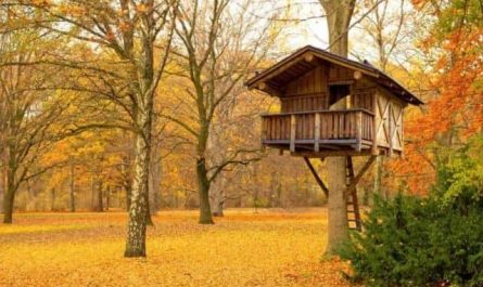 Pourquoi rêver d'une cabane dans les arbres ?