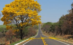 Pourquoi rêver d'une route infinie ?