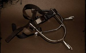 Pourquoi rêver de harnais ?