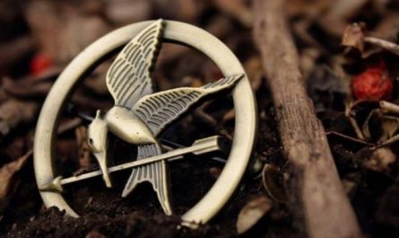 Pourquoi rêver de Hunger Games ?