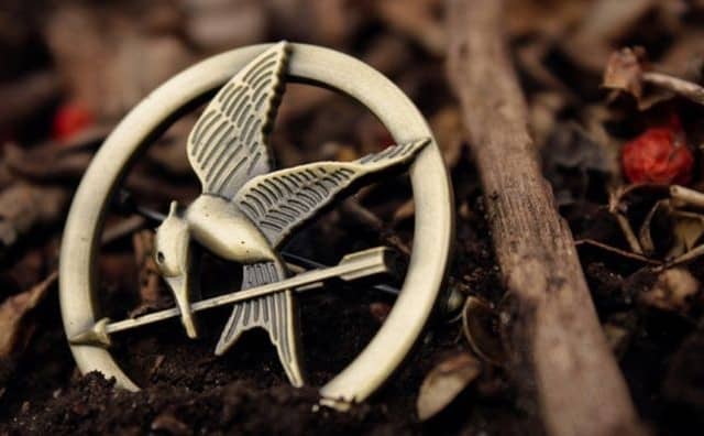 Rêver de Hunger Games
