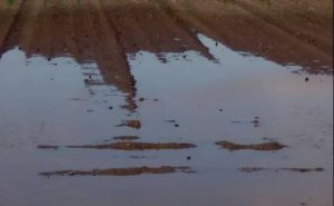 Pourquoi rêver de terres inondées ?