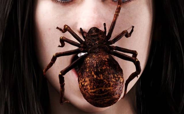 Pourquoi rêver d'une araignée sur le visage ?