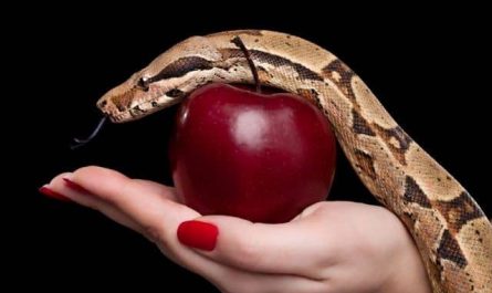 Pourquoi rêver de manger un serpent ?