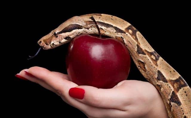 Rêver de manger un serpent