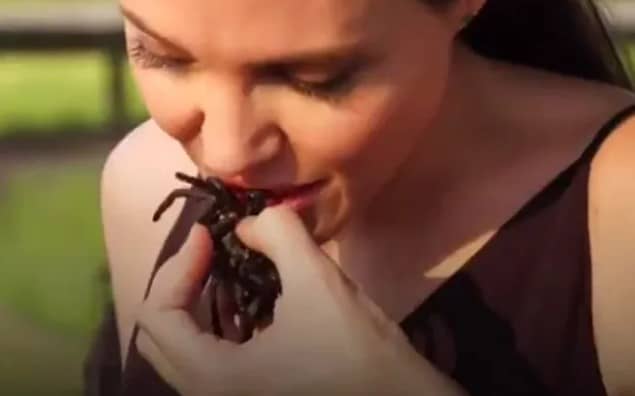 Pourquoi rêver de manger une araignée ?