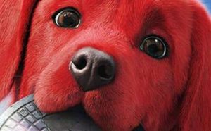 Pourquoi rêver de chiot rouge ?