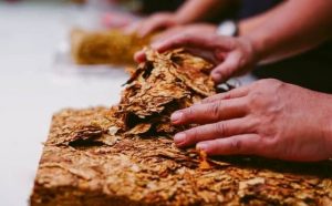 Pourquoi rêver de tabac ?