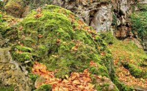 Pourquoi rêver de talus ?