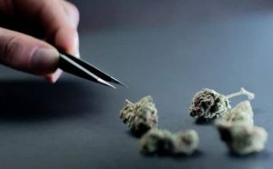 Pourquoi rêver d'acheter de la drogue ?